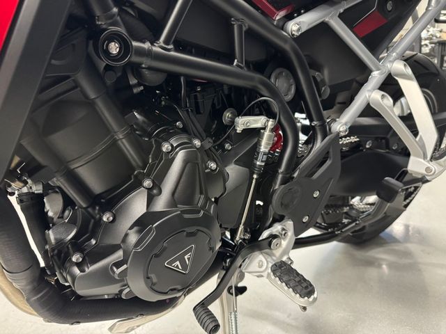 triumph - tiger-900-gt-pro