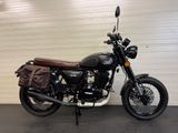 MASH TWO FIFTY 250