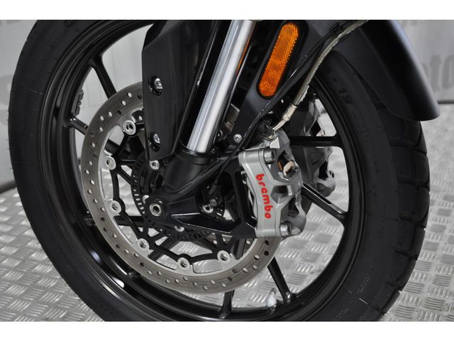 triumph - tiger-900-gt-pro