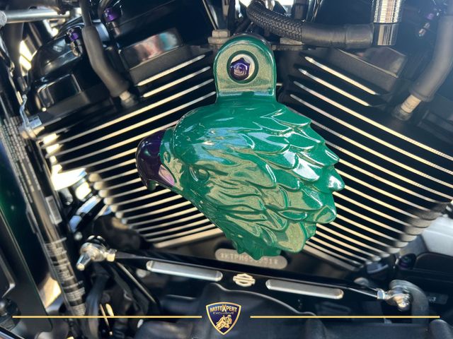 harley-davidson - road-glide-special-114