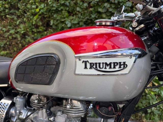triumph - bonneville