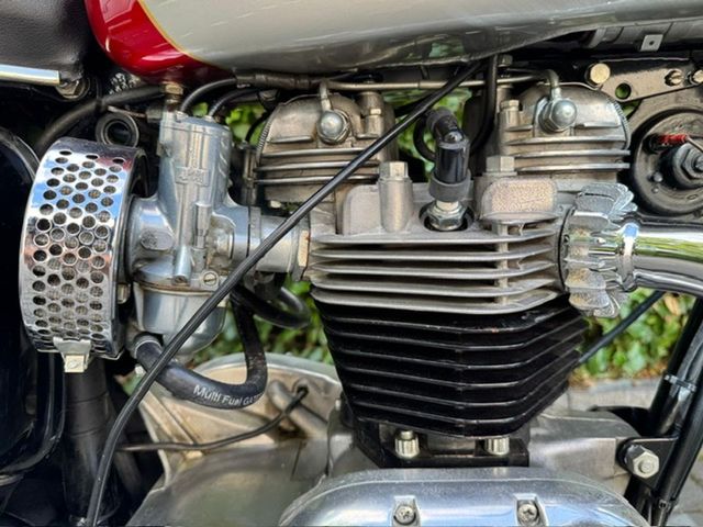 triumph - bonneville
