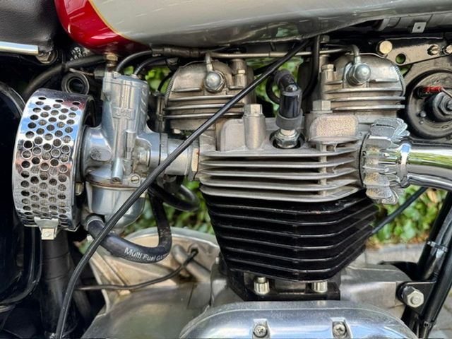 triumph - bonneville