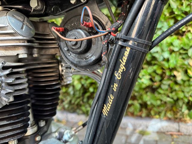 triumph - bonneville