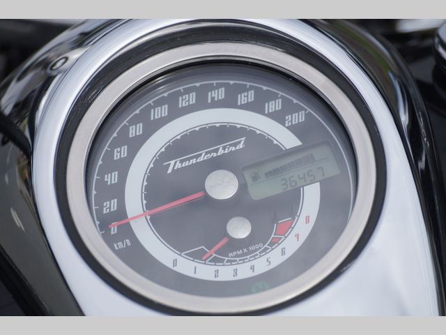 triumph - thunderbird