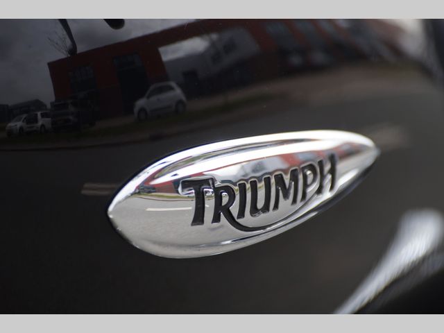 triumph - thunderbird
