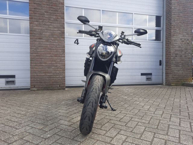 ducati - monster--