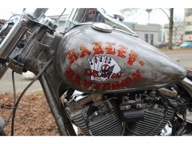 harley-davidson - low-rider-fxrs