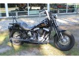 HARLEY-DAVIDSON CROSS BONES FLSTSB