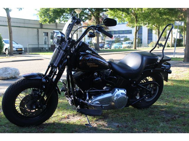 harley-davidson - cross-bones-flstsb