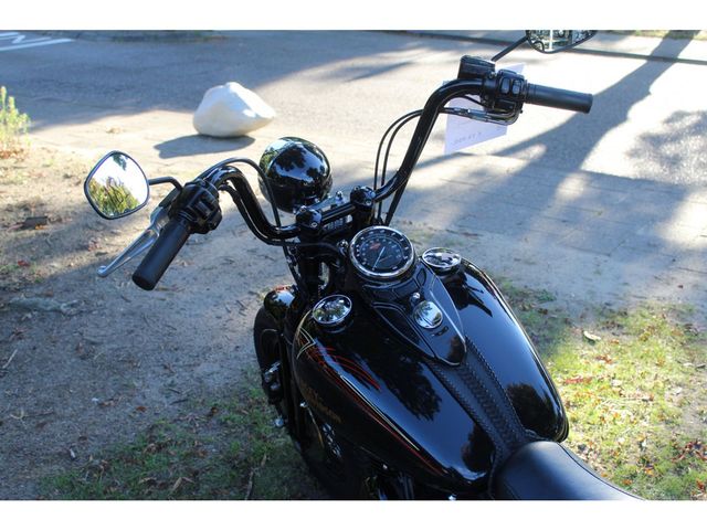 harley-davidson - cross-bones-flstsb