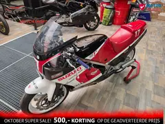 Suzuki RG 250 1987 occasion – foto 16 van 16