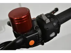 Kawasaki Z H2 2020 occasion – foto 20 van 20