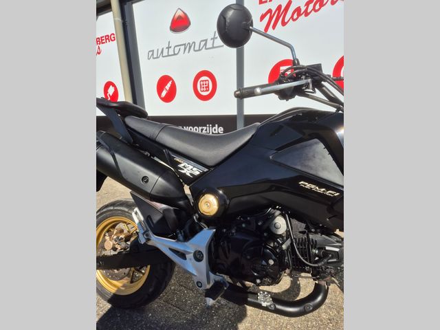 honda - msx-125
