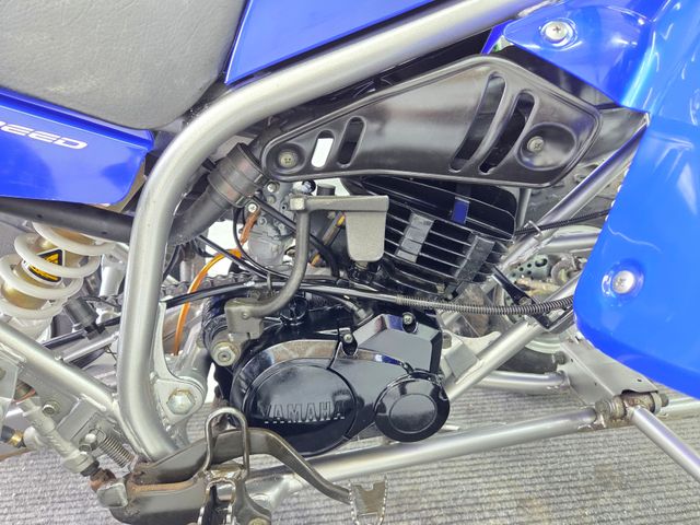 yamaha - yfs-200-blaster