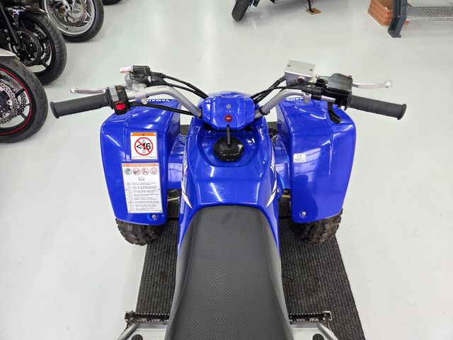 yamaha - yfs-200-blaster