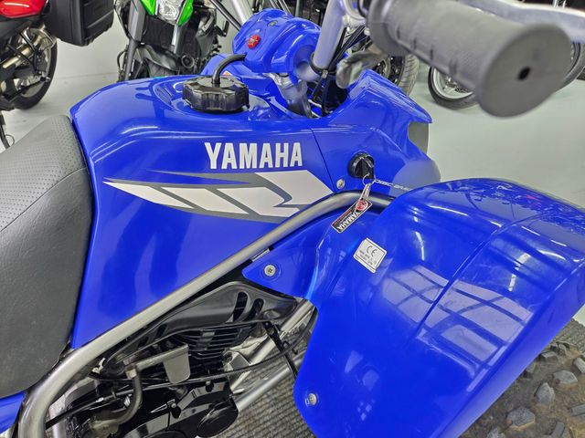 yamaha - yfs-200-blaster