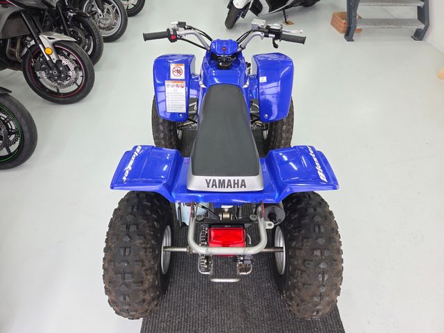 yamaha - yfs-200-blaster