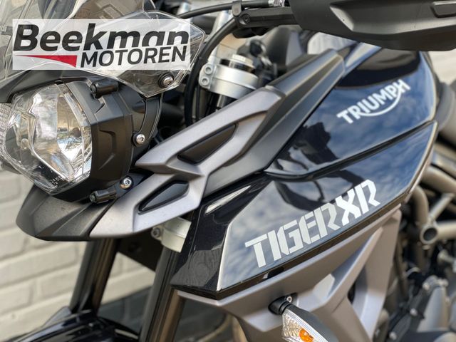 triumph - tiger-800-xr