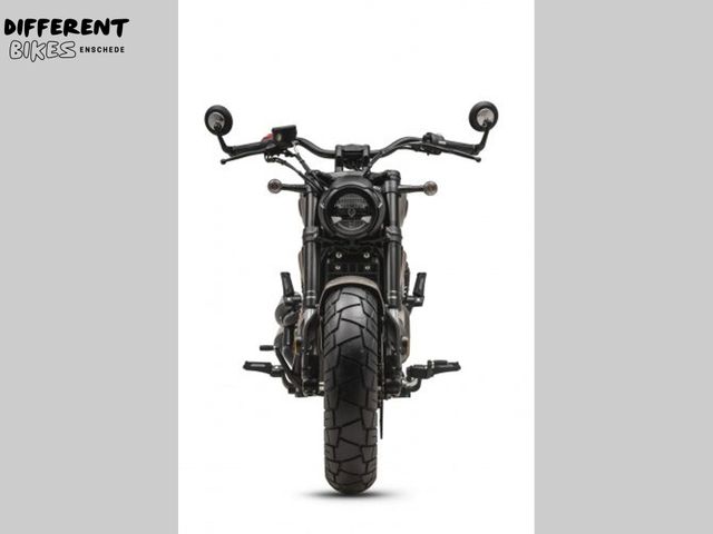 BENDA - chinchilla-500cc