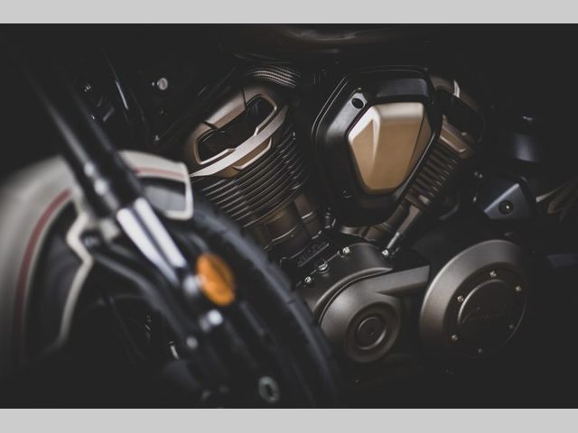 BENDA - chinchilla-500cc