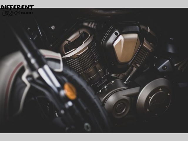 BENDA - chinchilla-500cc