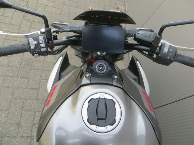 kawasaki - z900-performance