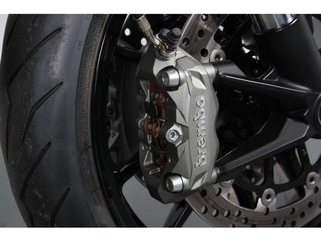 ducati - monster