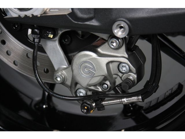 ducati - monster
