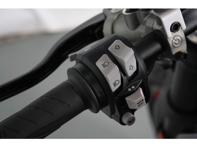 ducati - monster