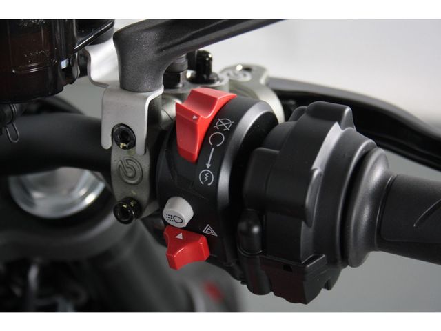 ducati - monster