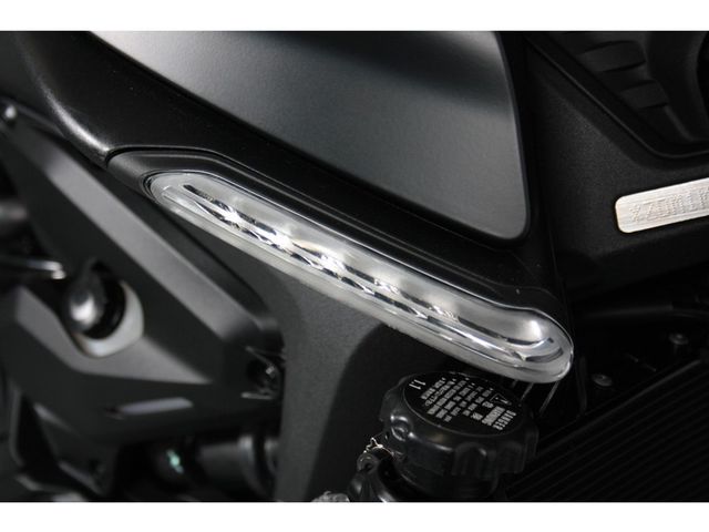 ducati - monster