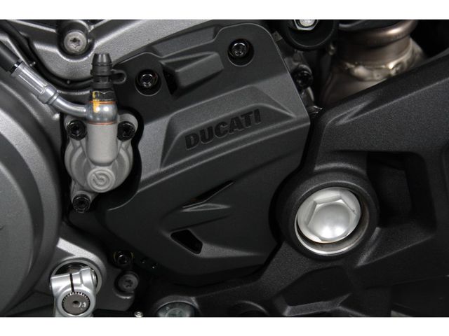 ducati - monster