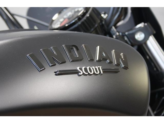 indian - scout-rogue