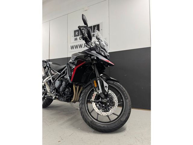 triumph - tiger-900-gt-pro