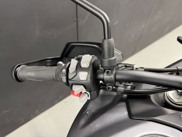 triumph - tiger-900-gt-pro