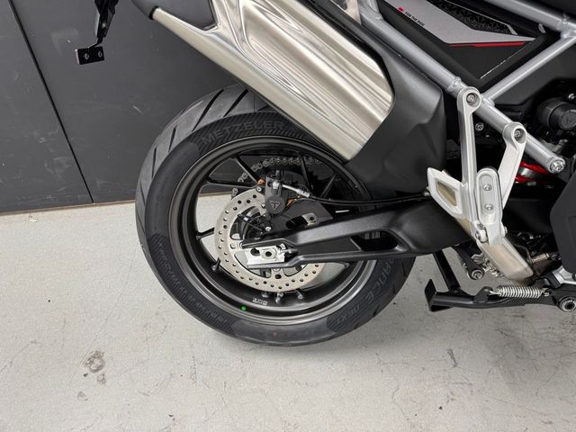 triumph - tiger-900-gt-pro