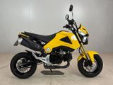 HONDA MSX 125