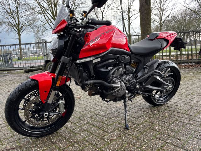 ducati - monster