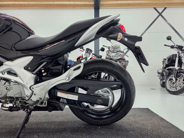 suzuki - gladius-abs