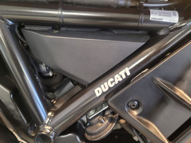 ducati - scrambler-desert-sled