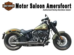 Harley-Davidson Flss Softail Slim S 2016 occasion – foto 2 van 19