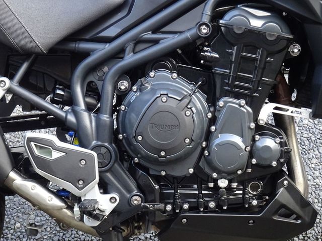 triumph - tiger-explorer