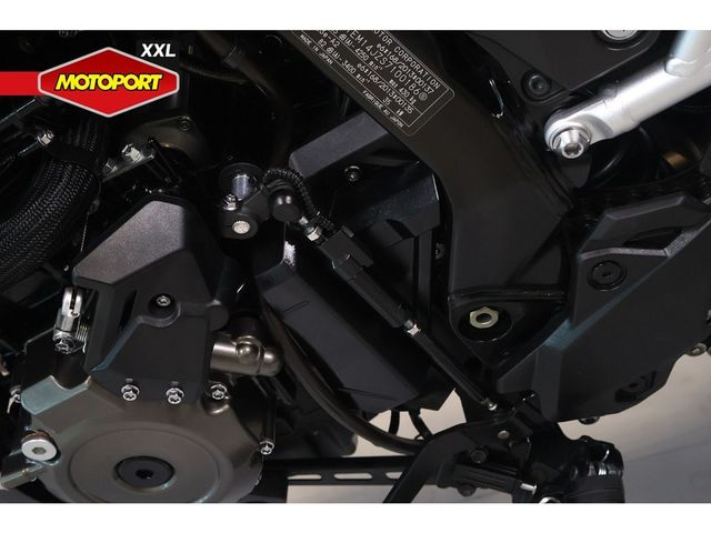 suzuki - v-strom-800