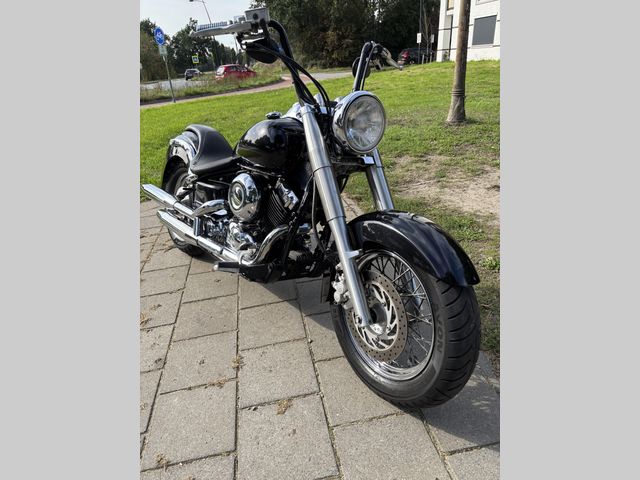 yamaha - xvs-650-a-dragstar-classic