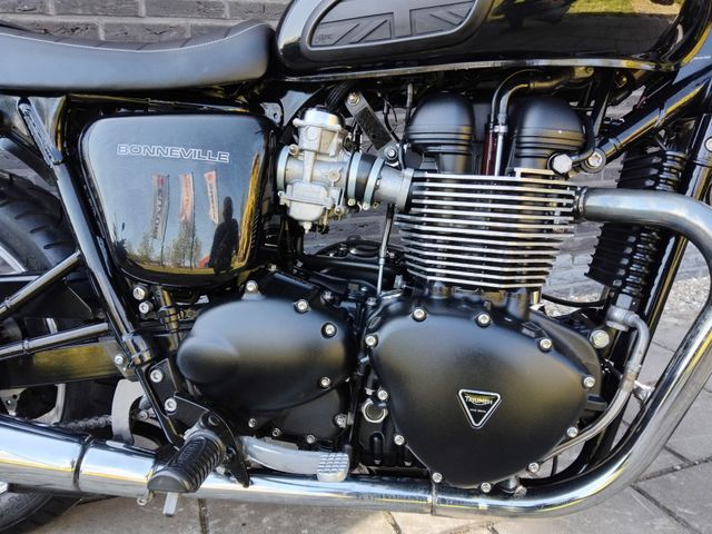 triumph - bonneville-t-100