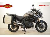TRIUMPH TIGER EXPLORER