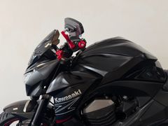 Kawasaki Tour Z800 ABS / Akrapovic / Full - Black - Matt - Carbon -Edition 2013 occasion – foto 13 van 22