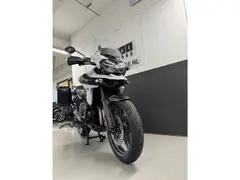 Triumph Tiger 1200 Alpine Edition 2021 occasion – foto 9 van 12