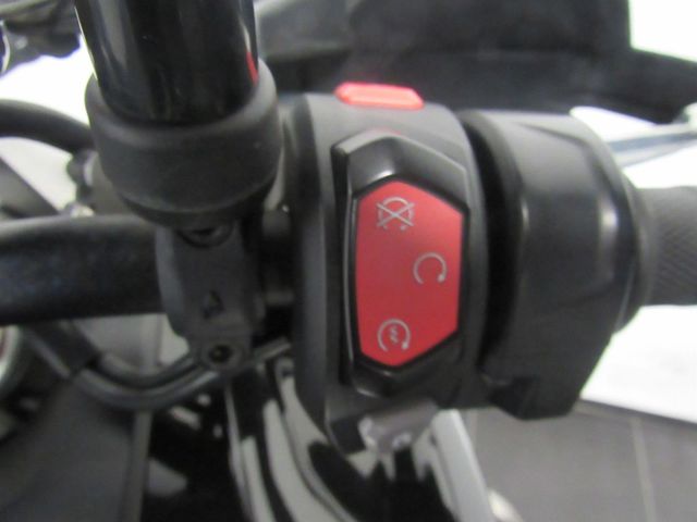 triumph - tiger-900-rally-pro